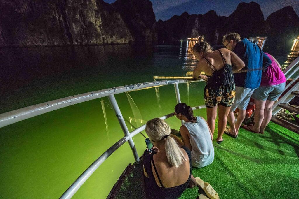 Халонг: Halong Fantasea Cruise