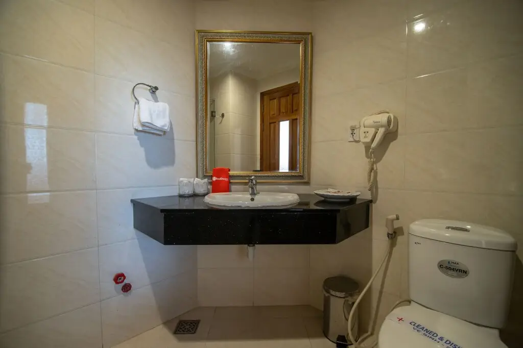Хошимин: White Lion Hotel