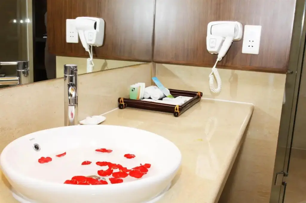 Биен-Хоа: Wooshu Hotel