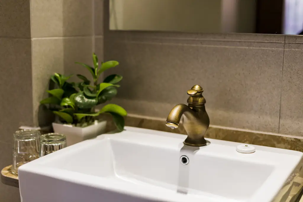 Хошимин: Sunflower Luxury Hotel