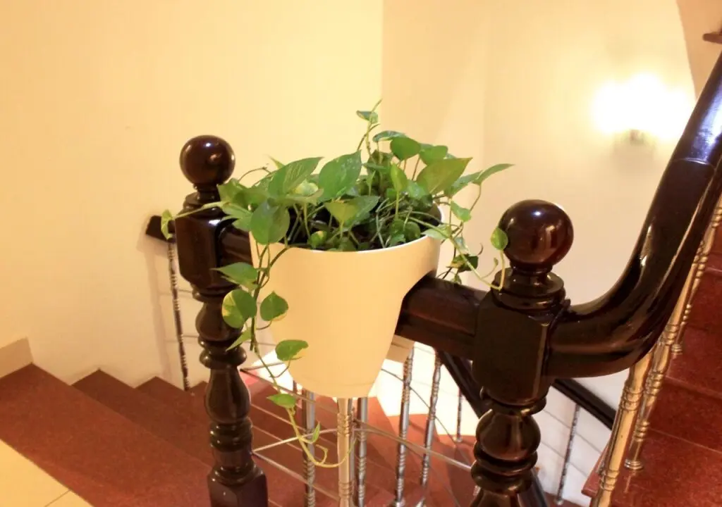 Хошимин: The Alley Saigon Hotel