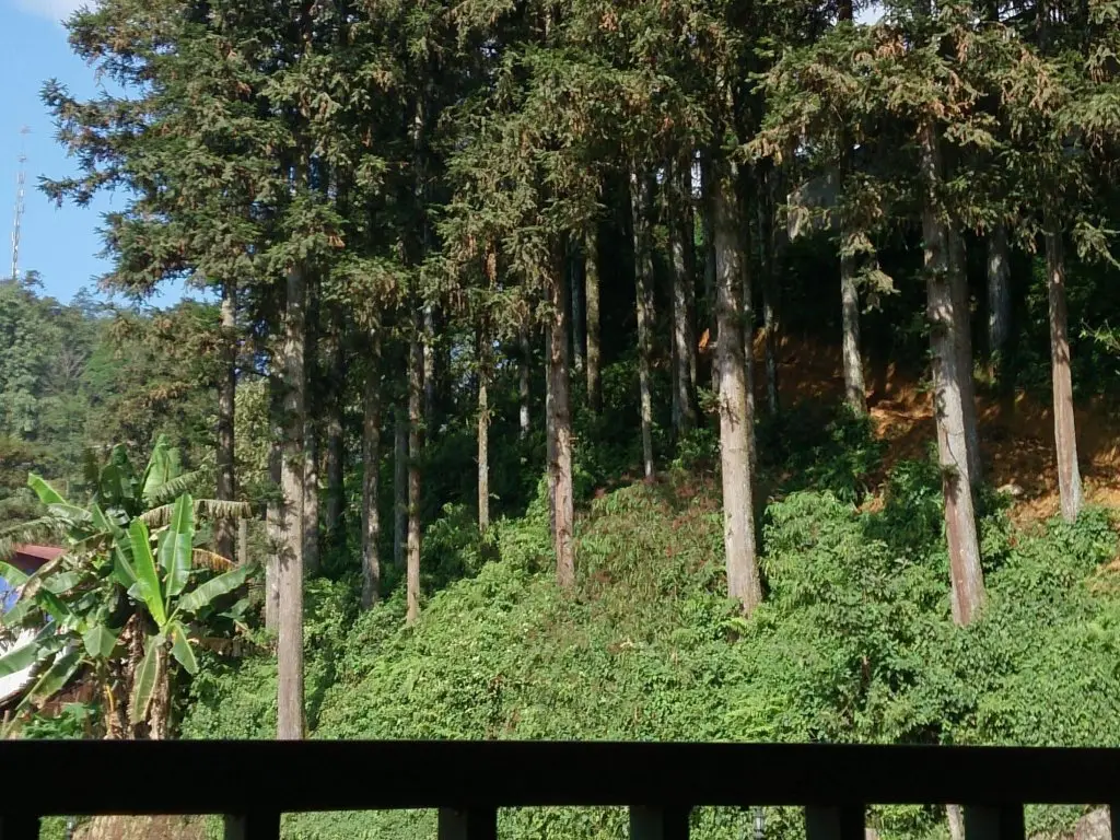 Шапа: Sapa Elite Hotel