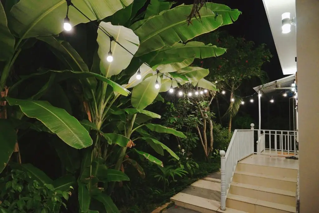 Хойан: Longan Homestay
