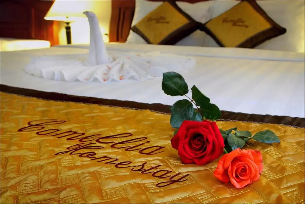 Хойан: Camellia Homestay