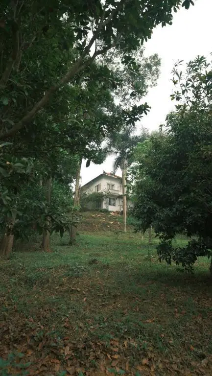 Дуонг-Лам: Yen Bai Resort