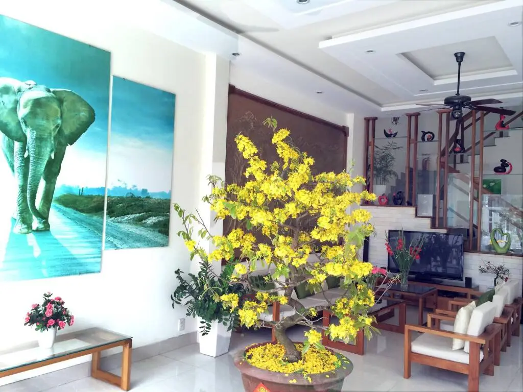 Хойан: Hoi An VIVA Homestay