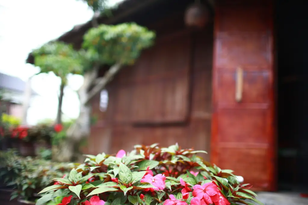 Хойан: Гостевой Дом Petunia Garden Homestay