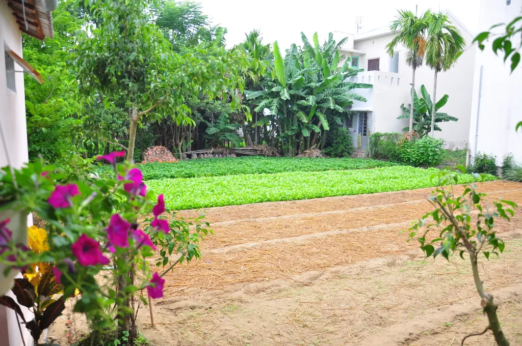 Хойан: Гостевой Дом Petunia Garden Homestay