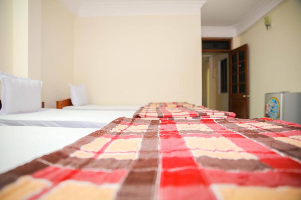 Куинён: Thanh Linh Hotel