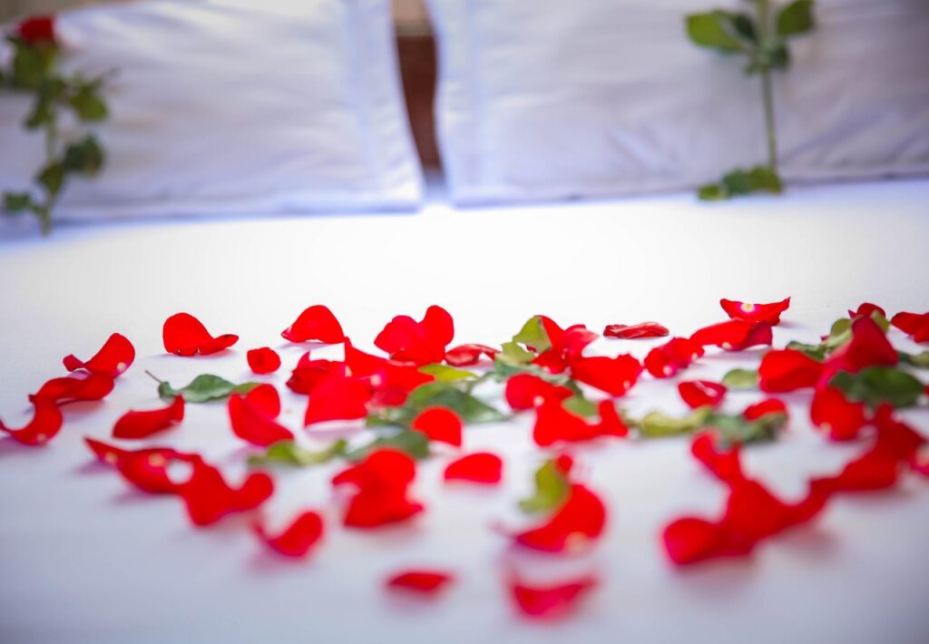 Куинён: Thanh Linh Hotel