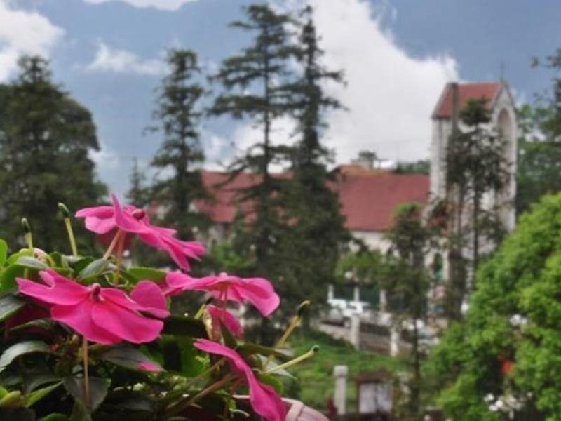 Шапа: Kenpas Hotel