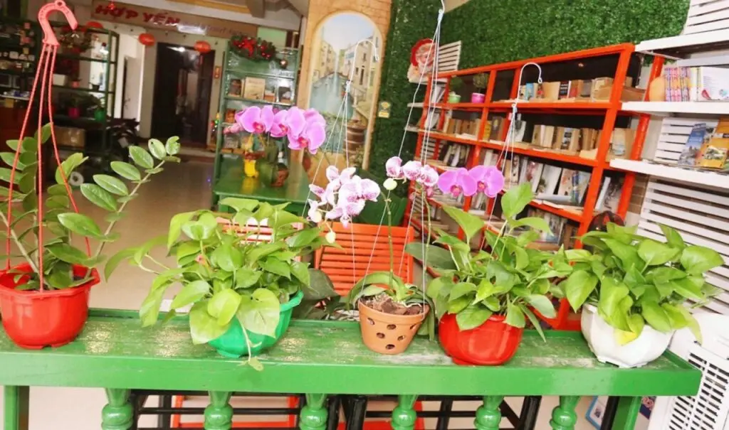Хойан: Hi Hop Yen Homestay