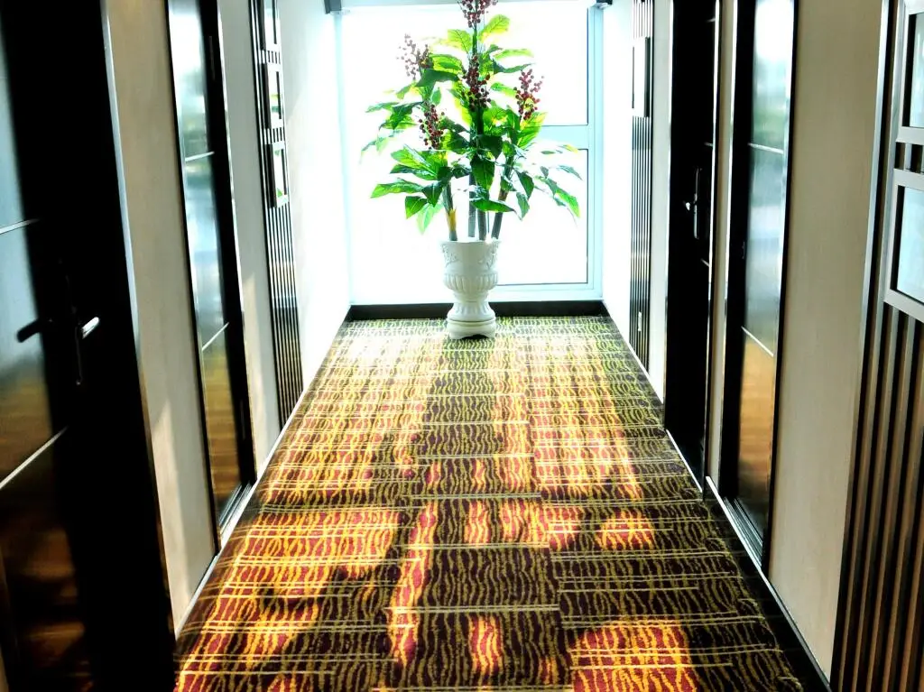 Халонг: New Star Ha Long Hotel