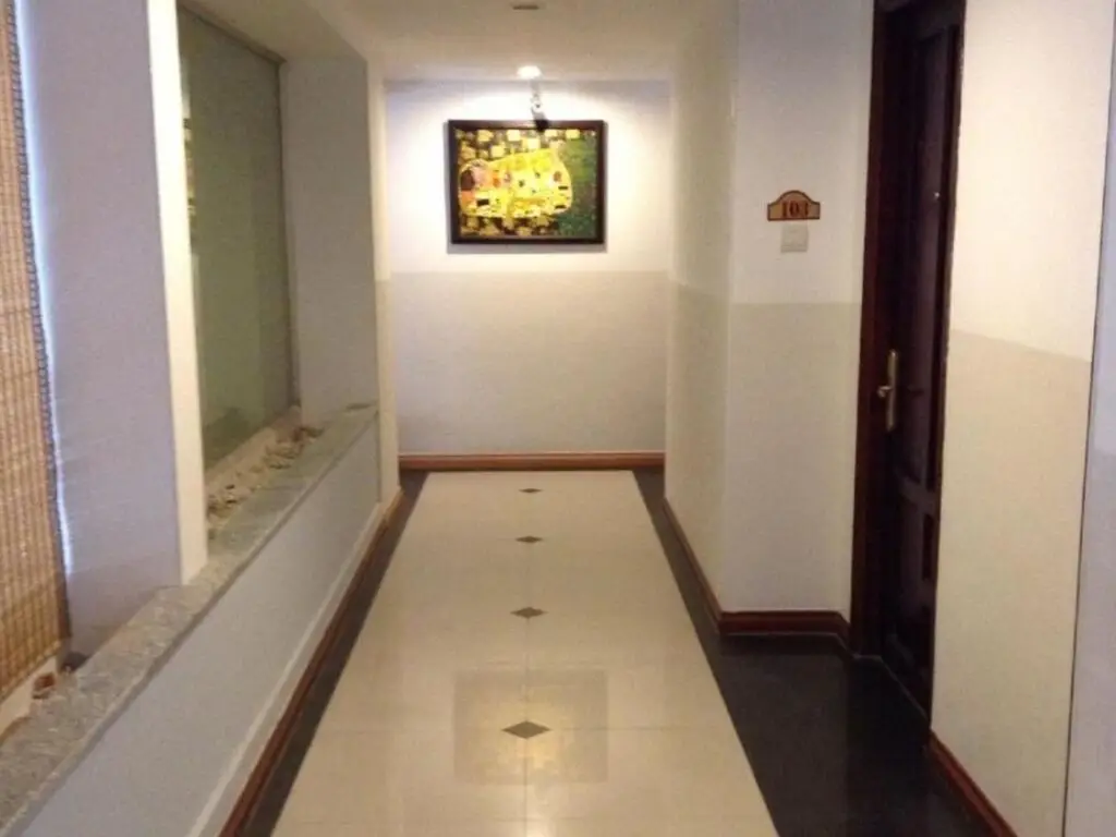 Хошимин: Golden Ant Hotel