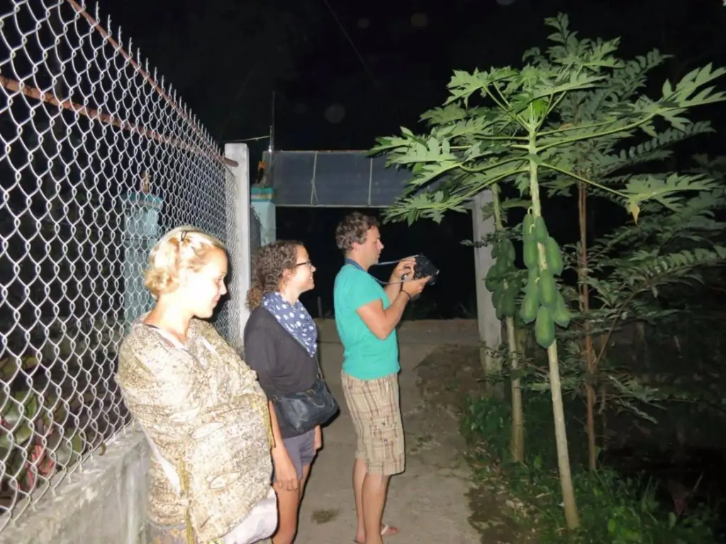 Виньлонг: My Hoa Mekong Homestay
