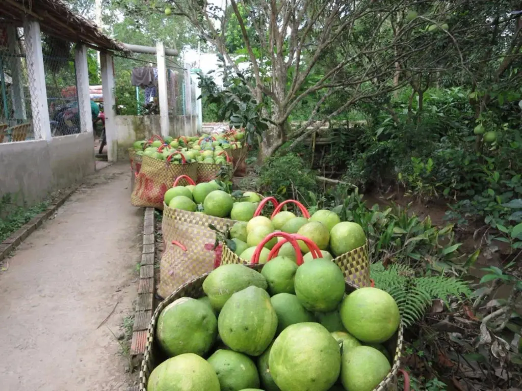 Виньлонг: My Hoa Mekong Homestay