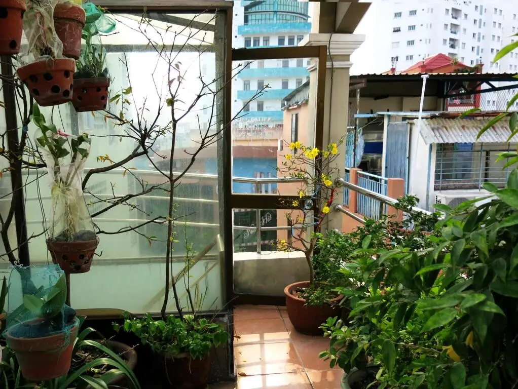 Хошимин: Banana Leaf Hotel