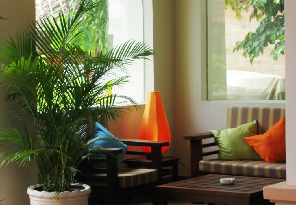 Фантхьет: Jardin Des Thes