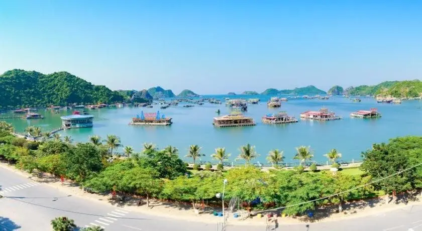 Хайфон: Manh Vuong Hotel