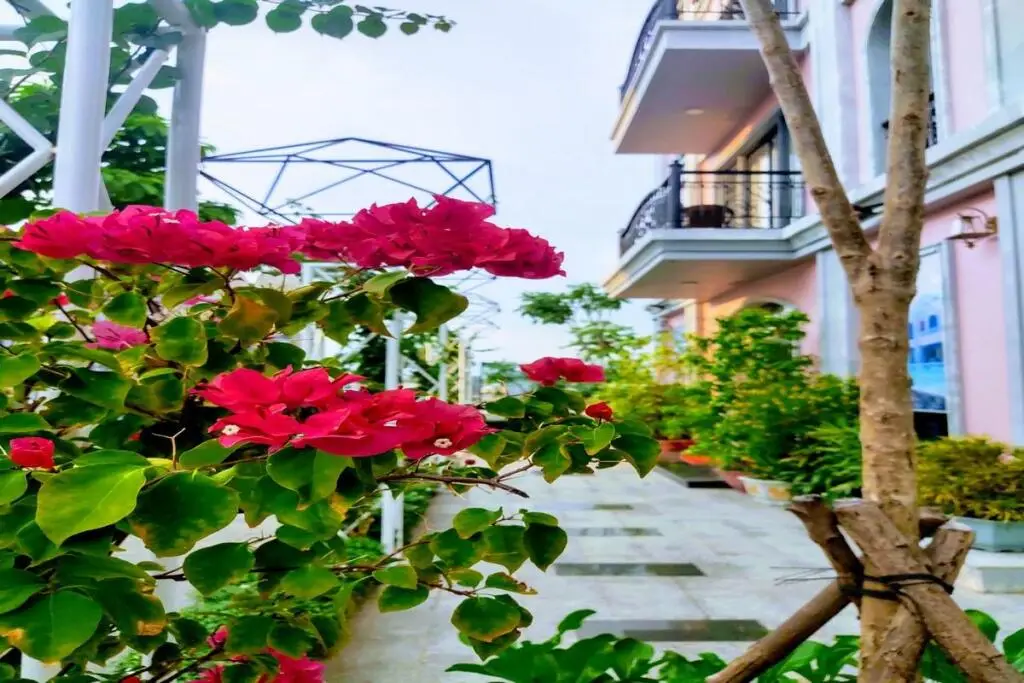 остров Фукуок: Sao Mai Hotel
