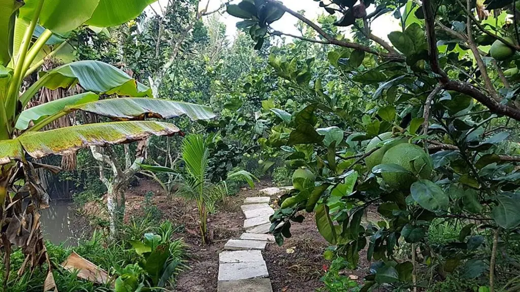 Бенче: Гостевой дом Nhon Thanh Homestay