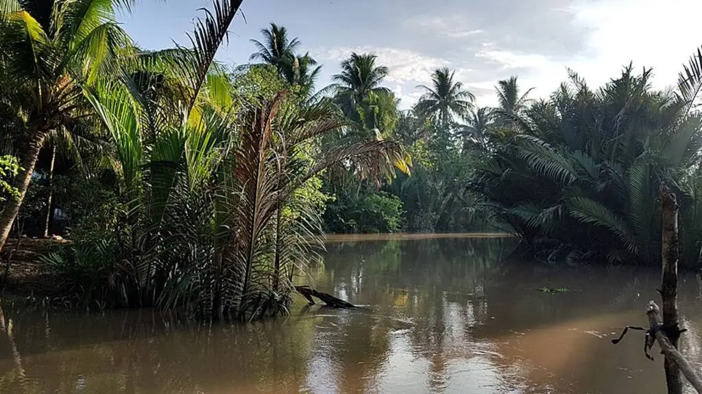 Бенче: Гостевой дом Nhon Thanh Homestay