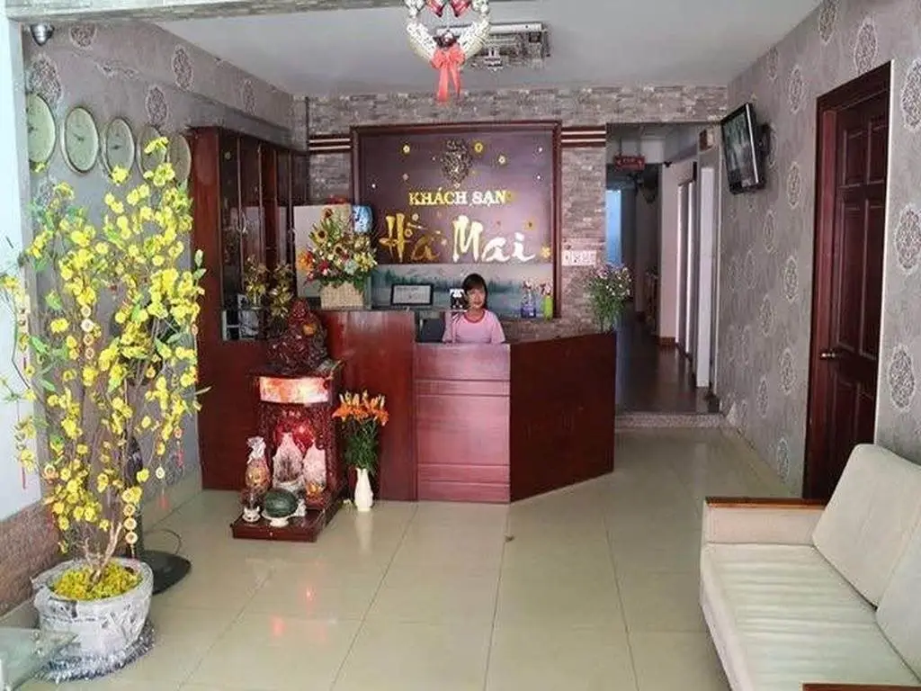 Хошимин: Ha Mai Hotel