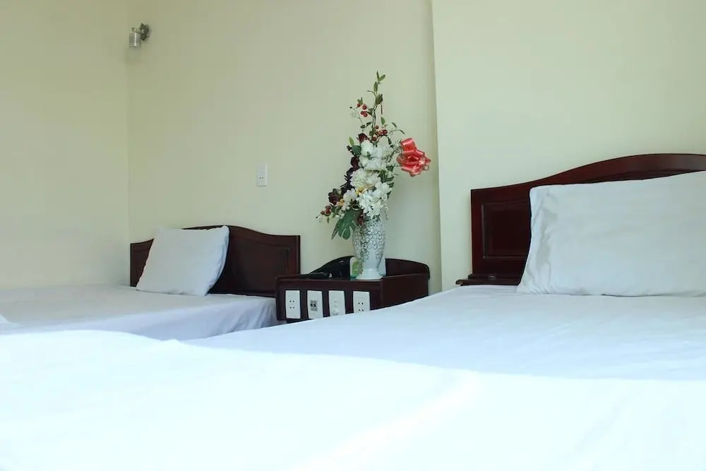 Дананг: Duong Dan Hotel