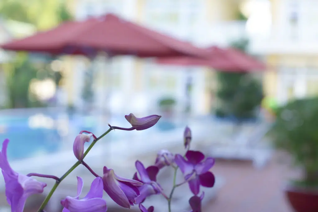 остров Фукуок: Lam Ha Resort