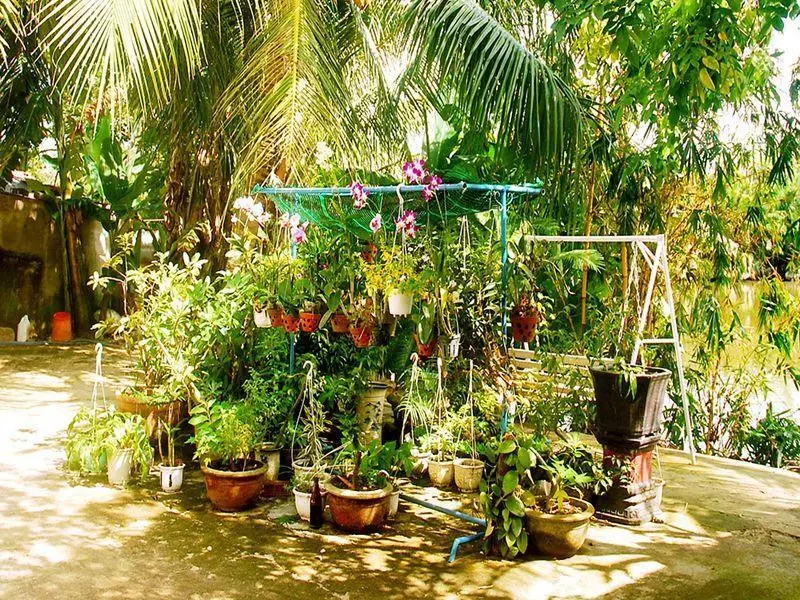Хойан: Peaceful River Homestay
