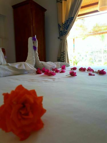 Хойан: Dragon Sea Homestay