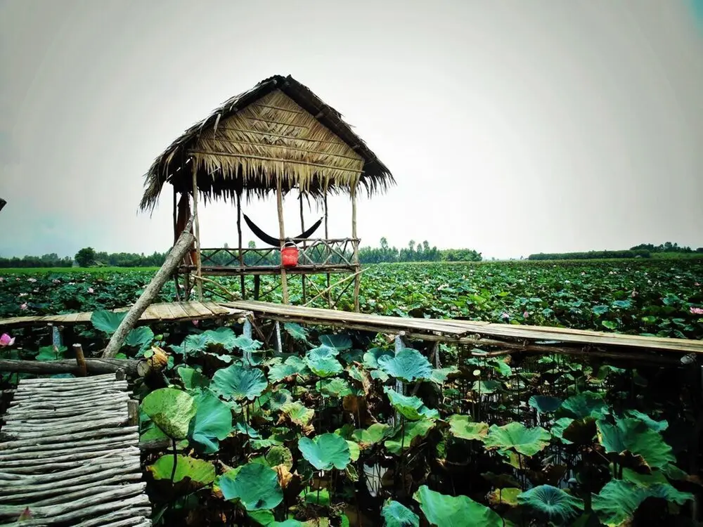 Каолань: Hai Lua Homestay (Lotus Lake Homestay)