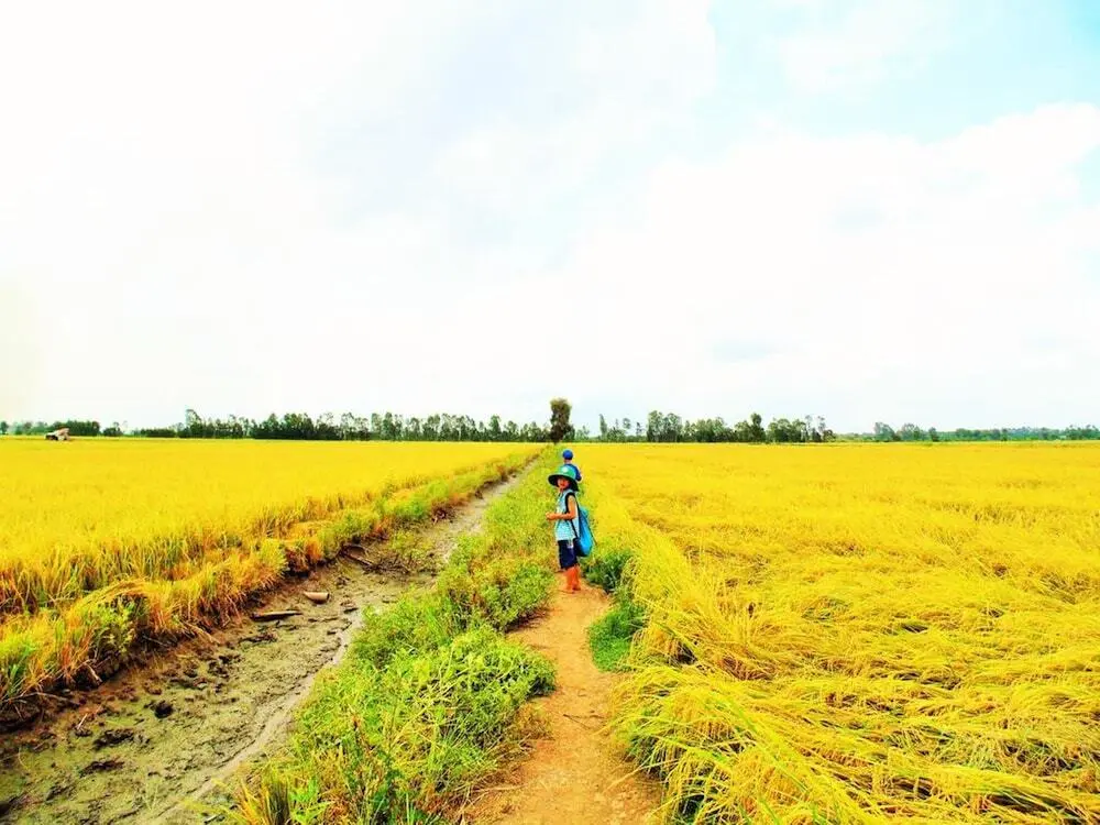 Каолань: Hai Lua Homestay (Lotus Lake Homestay)