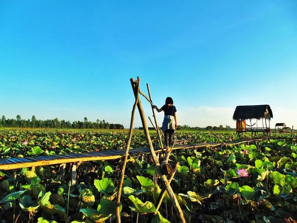 Каолань: Hai Lua Homestay (Lotus Lake Homestay)