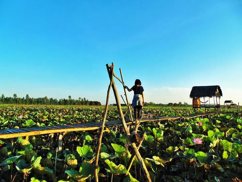 Каолань: Hai Lua Homestay (Lotus Lake Homestay)