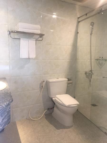Хошимин: New Life Hotel