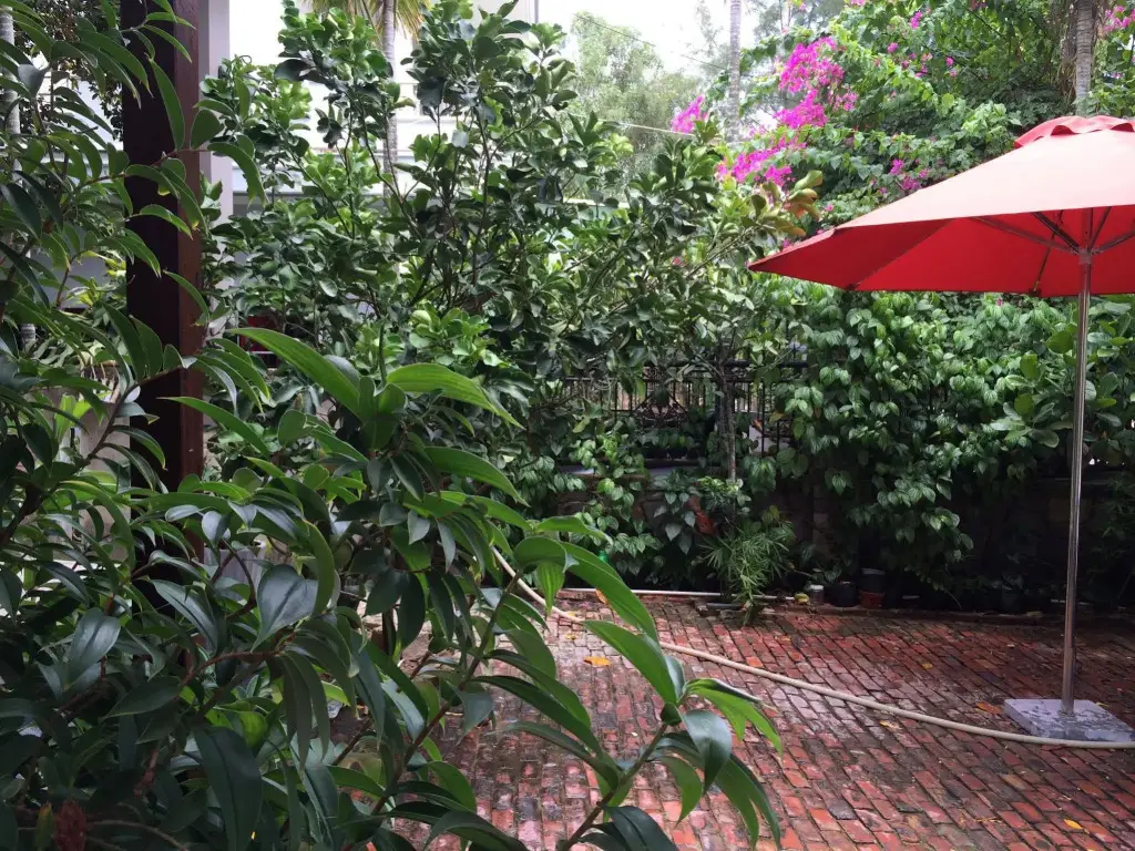Хойан: Mama's House Hoi An Homestay