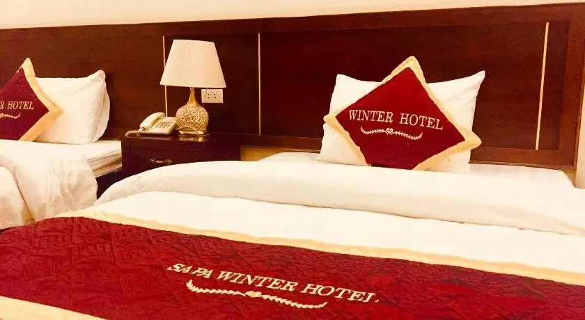 Шапа: Sa Pa Winter Hotel
