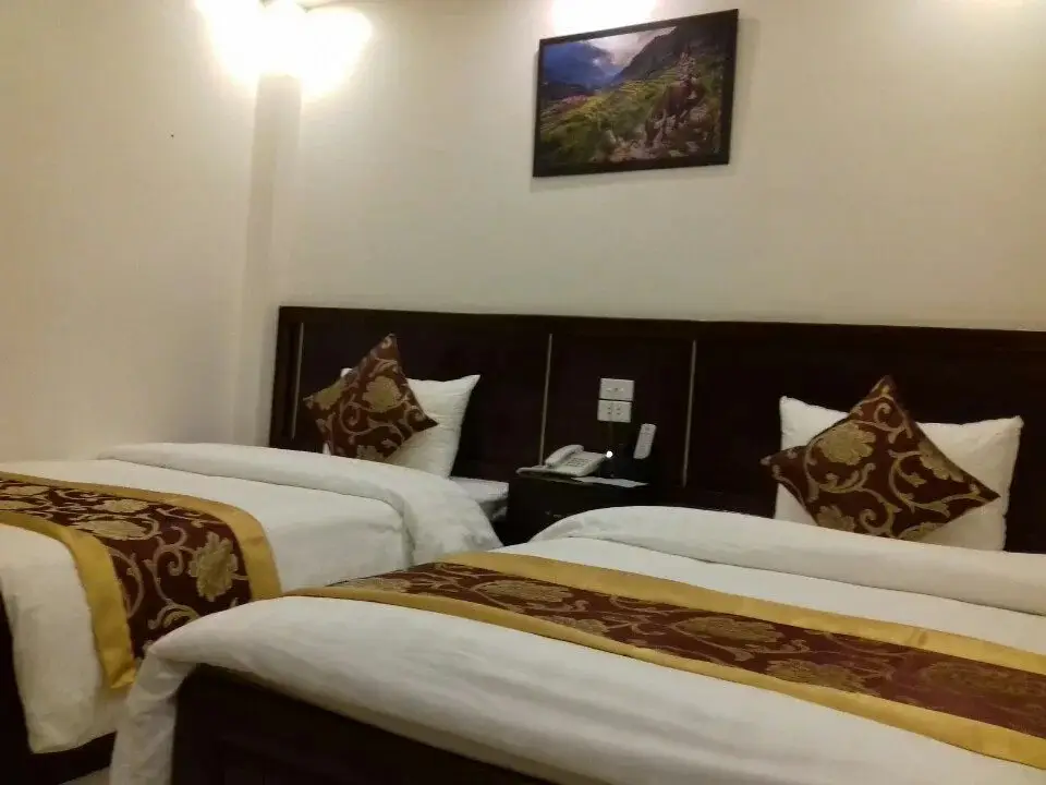 Шапа: Sa Pa Winter Hotel