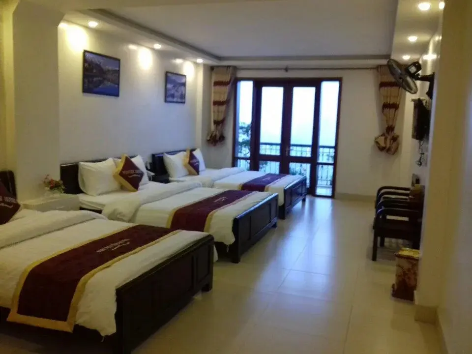 Шапа: Sa Pa Winter Hotel
