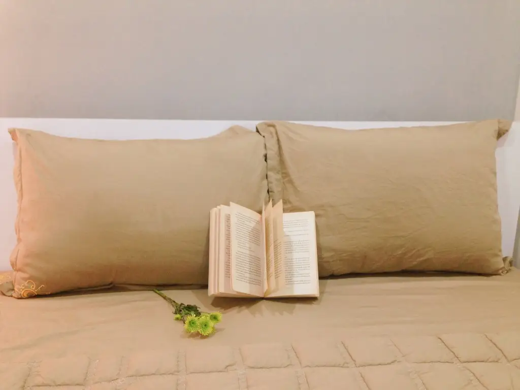 Дананг: Хостел Carpe Diem Inn Da Nang