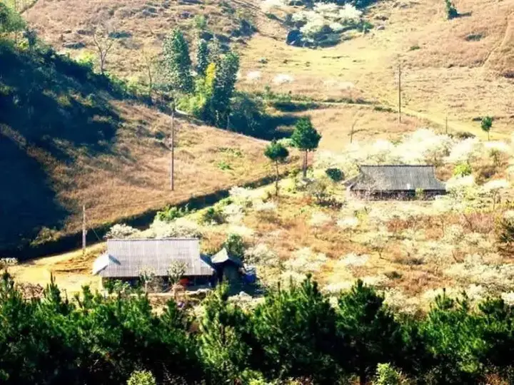 Маи-Чау: Hua Tat Stilt House