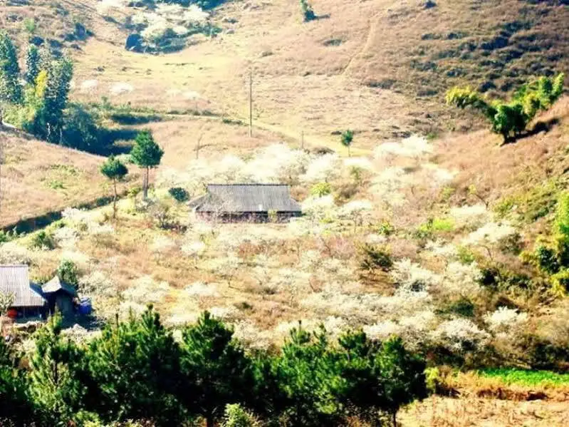 Маи-Чау: Hua Tat Stilt House