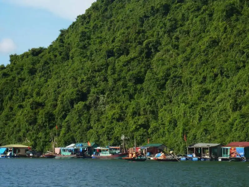 Халонг: Heritage Line Violet Cruise - Ha Long Bay and Lan Ha Bay