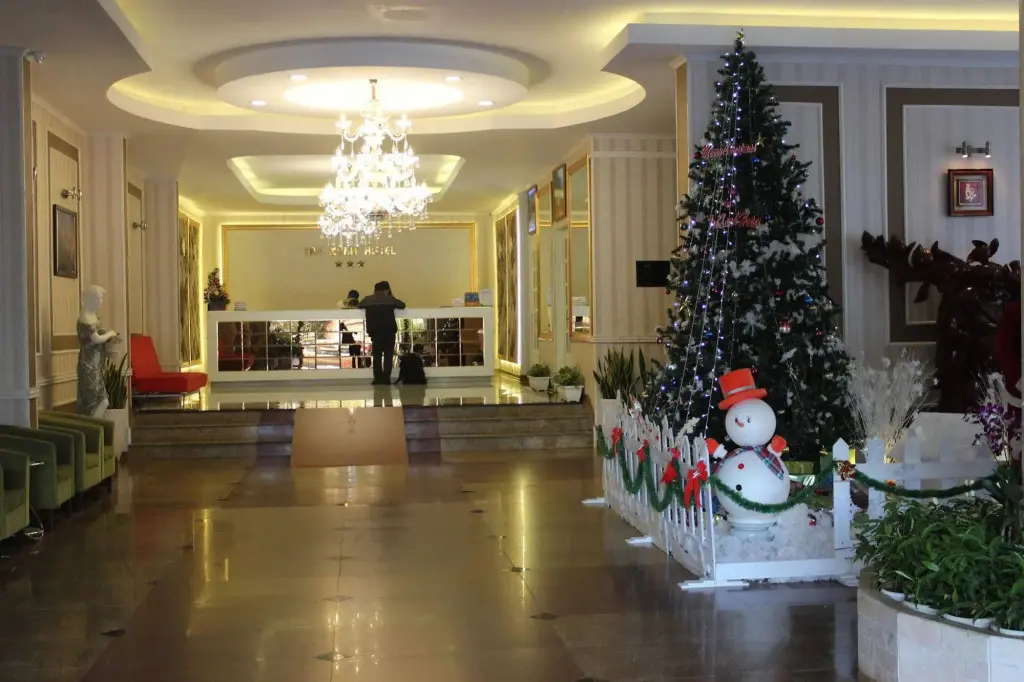Плейку: Tre Xanh Hotel