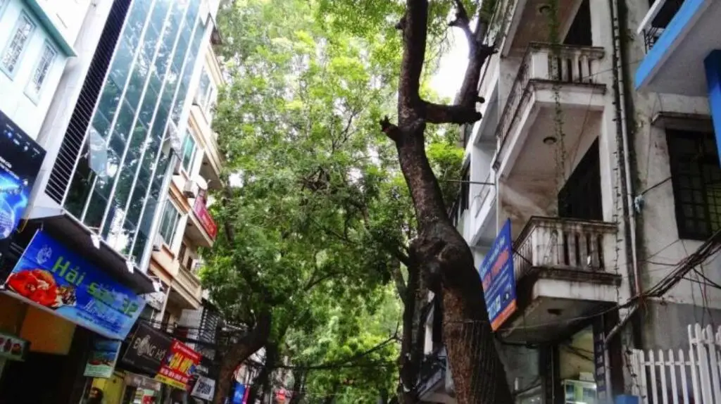 Ханой: Hanoi Funny Hotel