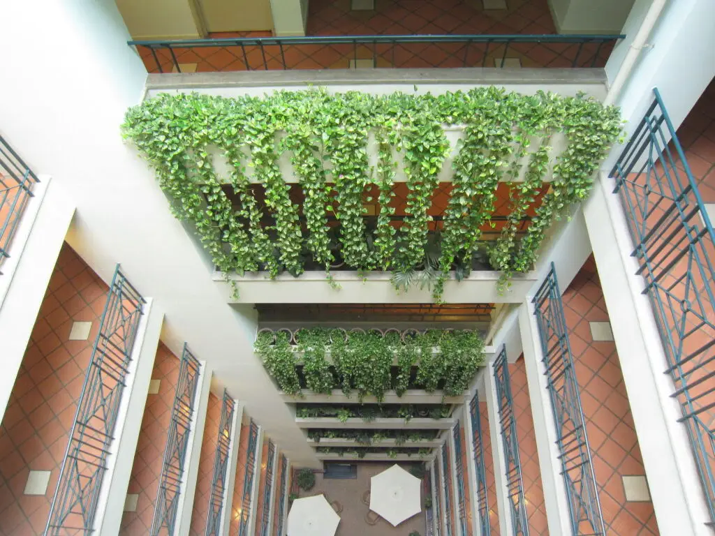 Хошимин: Saigon Court Serviced Apartment
