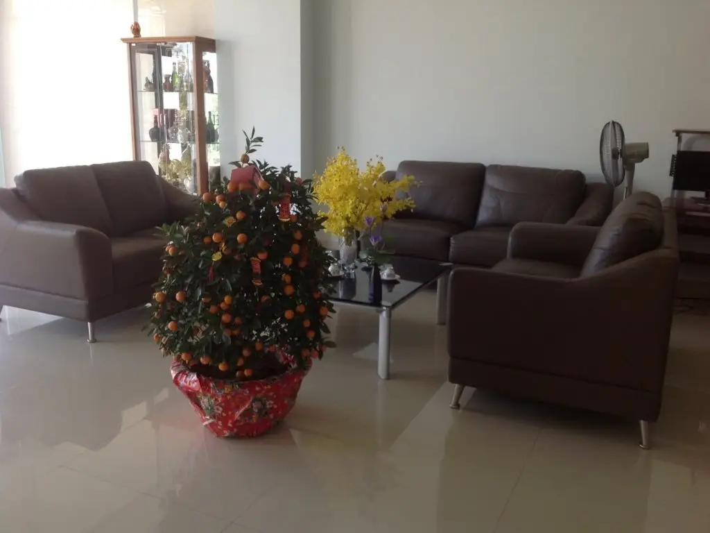 Хошимин: Giang Quynh Lan Guest House
