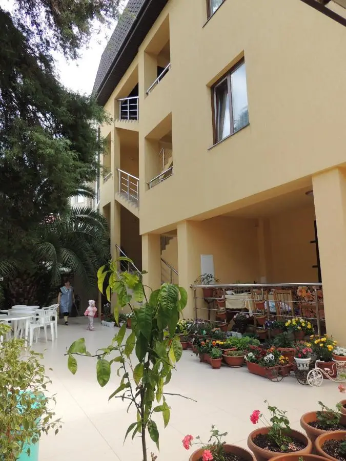 Сочи: Alexandria Guest House