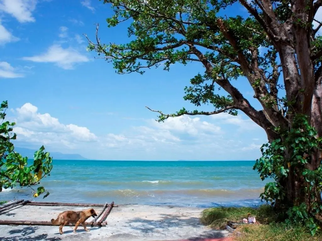 остров Фукуок: Bai Thom Cay Vong Nem Resort